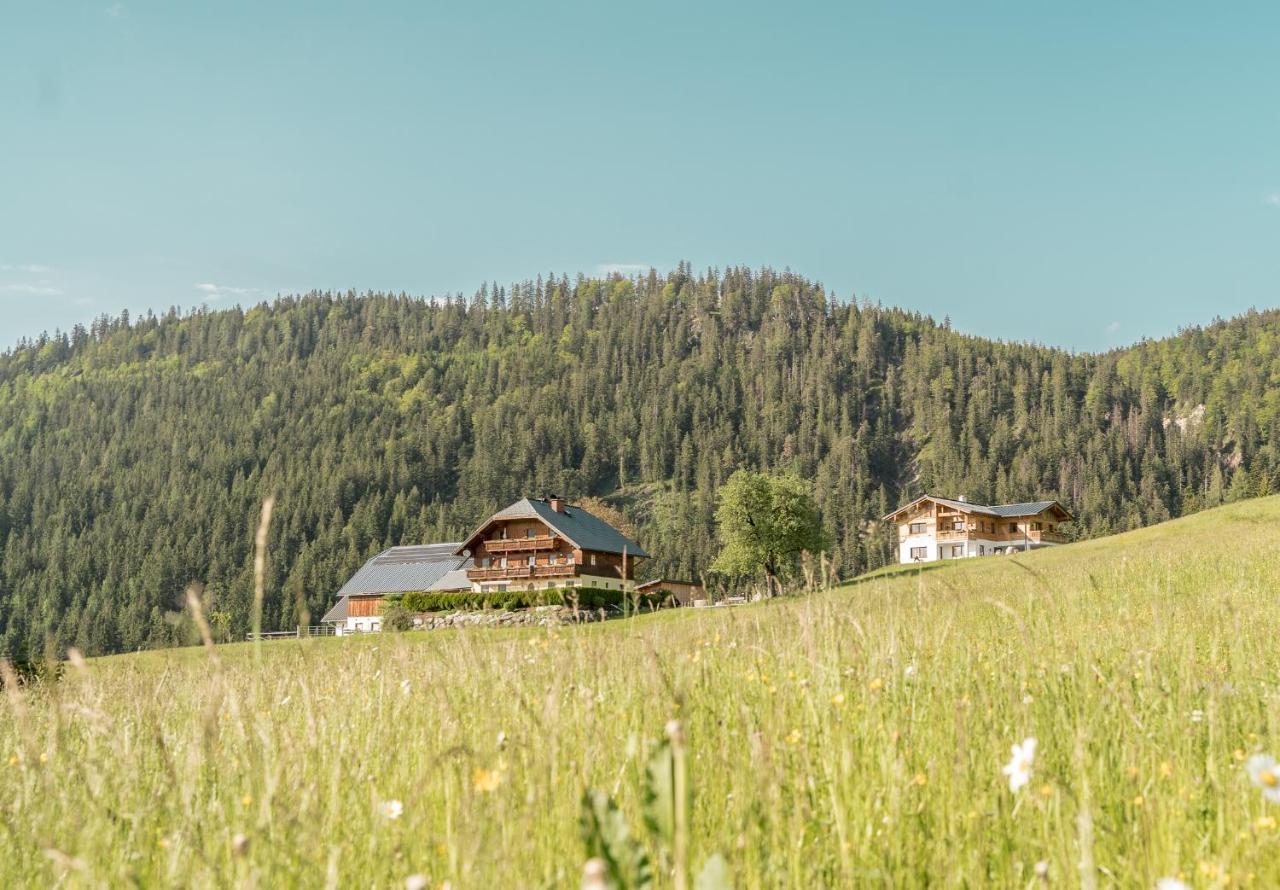 Bio Bauernhof Oberhinterberg Appartement Annaberg im Lammertal Exterior photo